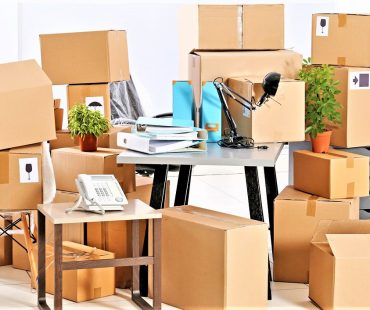 Packers and Movers in Udaipur – List of All Udaipur Packers & Movers
